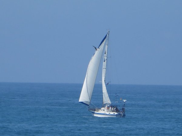 Bild von MOYA