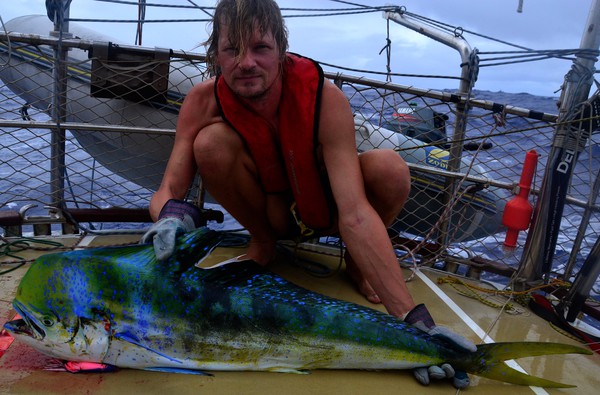 Mahi Mahi