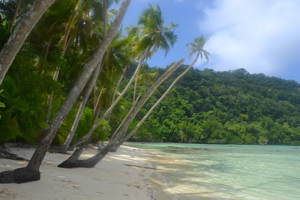 Bild: Strand von Hayter