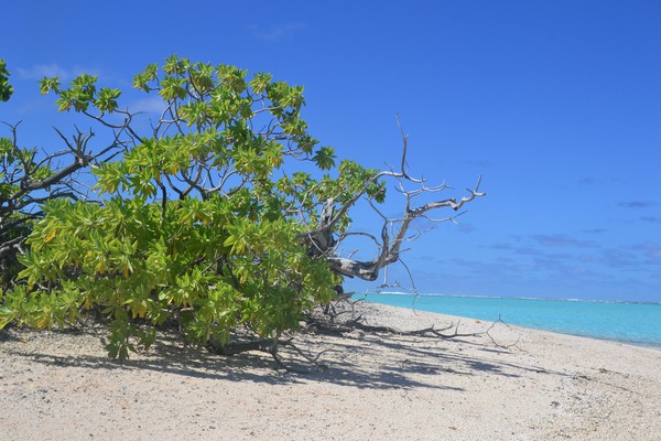 Bild: Beach at the southeast anchorage