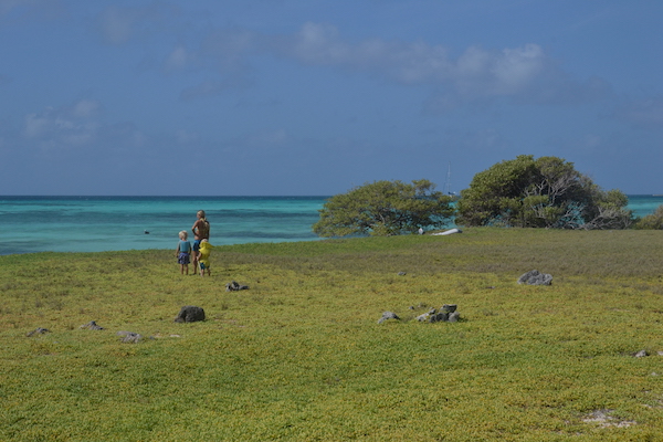 Bild: Cayo Carenero